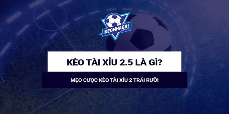 Hướng dẫn cách chơi kèo tài xỉu chi tiết cho người mới bắt đầu