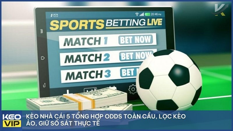 Kèo Nhà Cái 5 tổng hợp Odds toàn cầu, lọc kèo ảo, giữ số sát thực tế